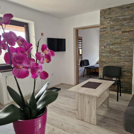 Apartamenty U Krystyny Klikuszowa Kültér fotó