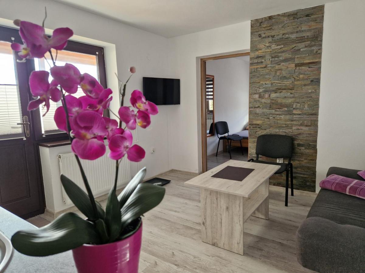 Apartamenty U Krystyny Klikuszowa Kültér fotó