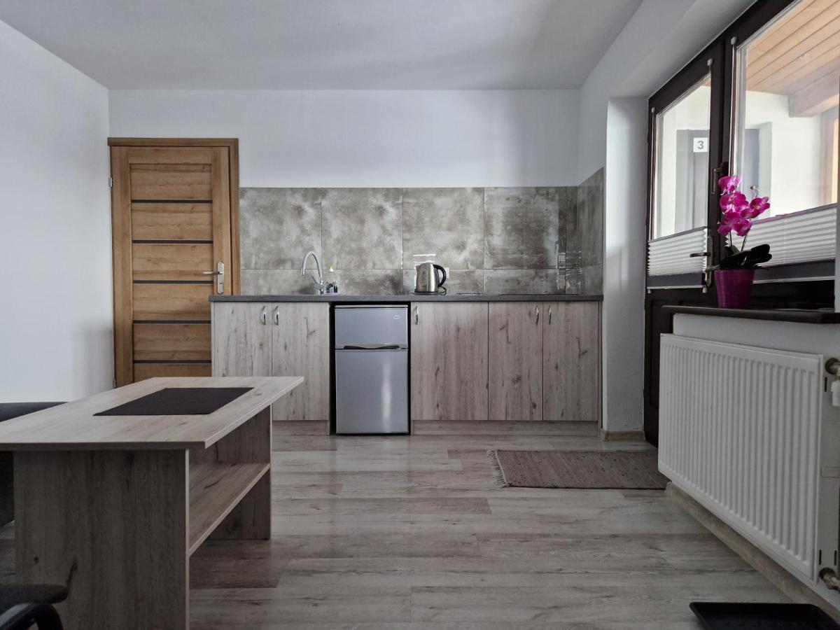 Apartamenty U Krystyny Klikuszowa Kültér fotó